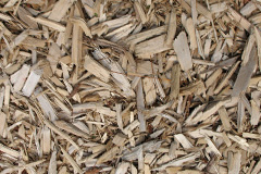 biomass boilers Carn Gorm